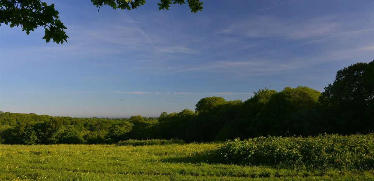 Sandlands Park, photo 10