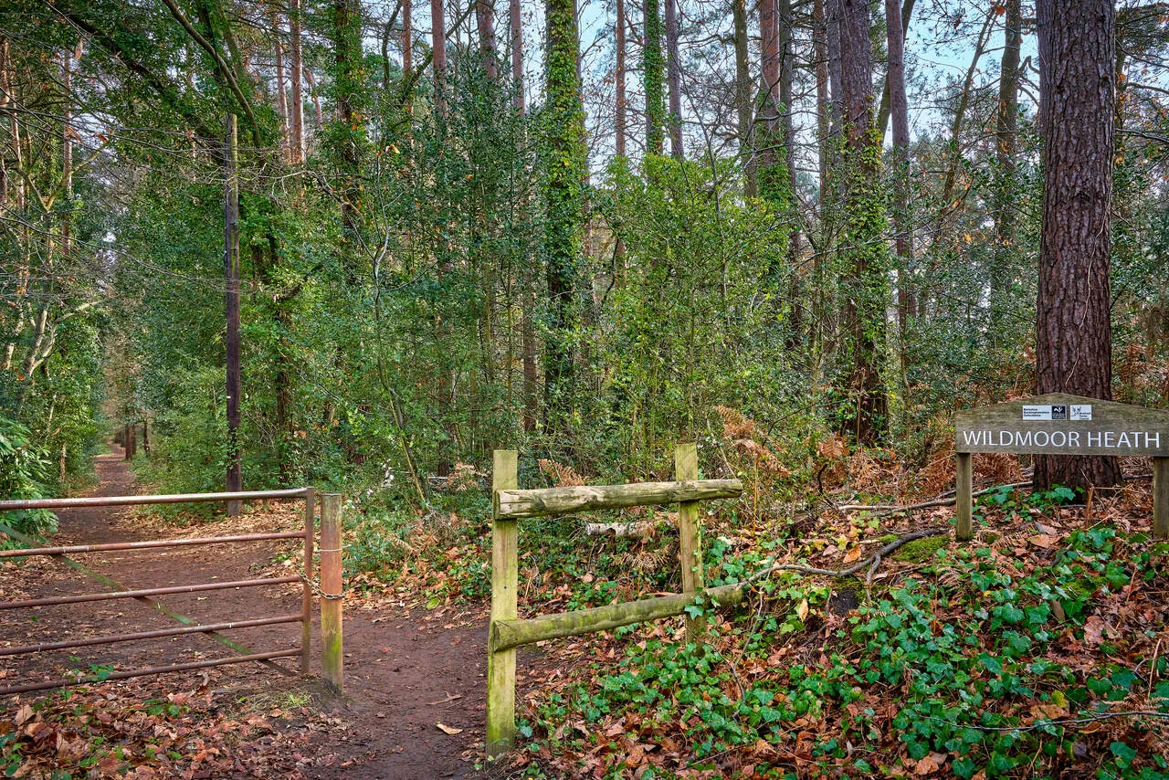 Buckler's Park, photo 10