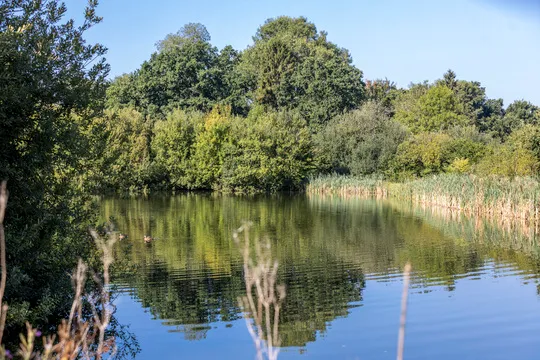 Elsenham Brook, photo 5