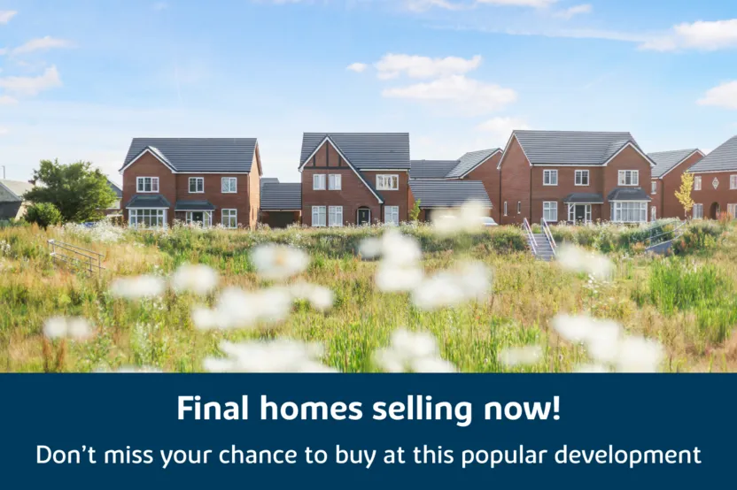 Monument View, Wellington: new homes by Bovis Homes