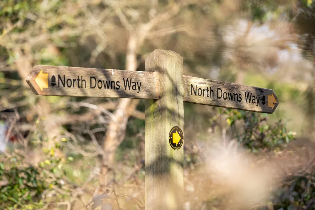Birchwood, Farnham, Surrey, photo 13