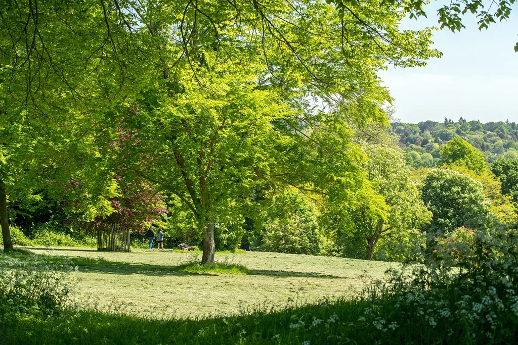 Birchwood, Farnham, Surrey, photo 7
