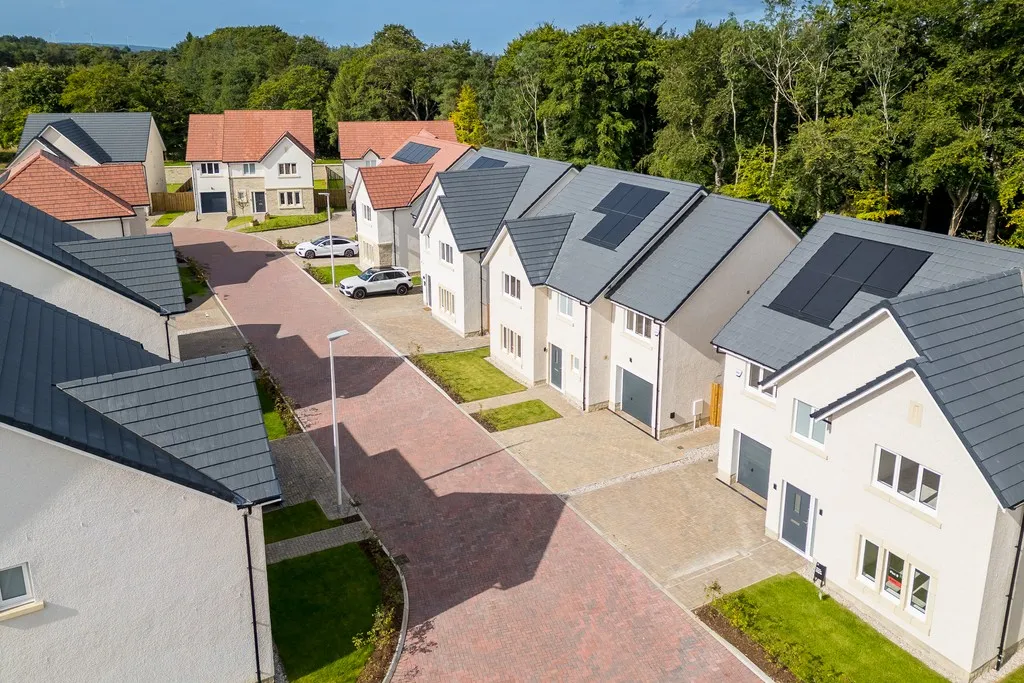 Pinefields, Livingston, photo 2