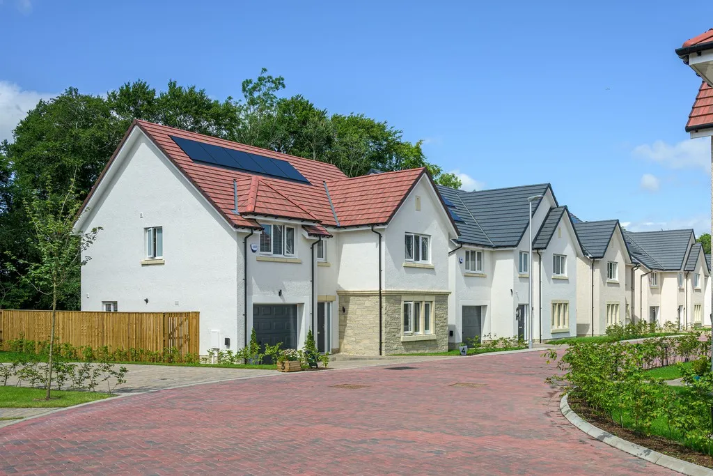 Pinefields, Livingston, photo 4