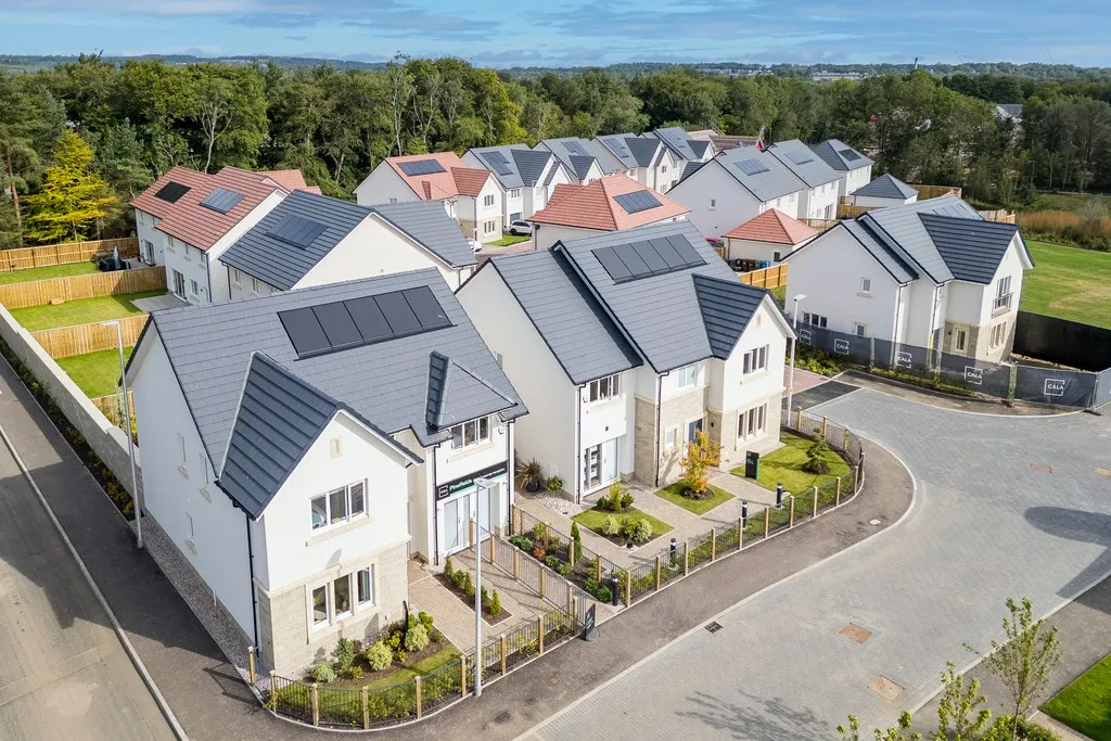 Pinefields, Livingston, photo 9