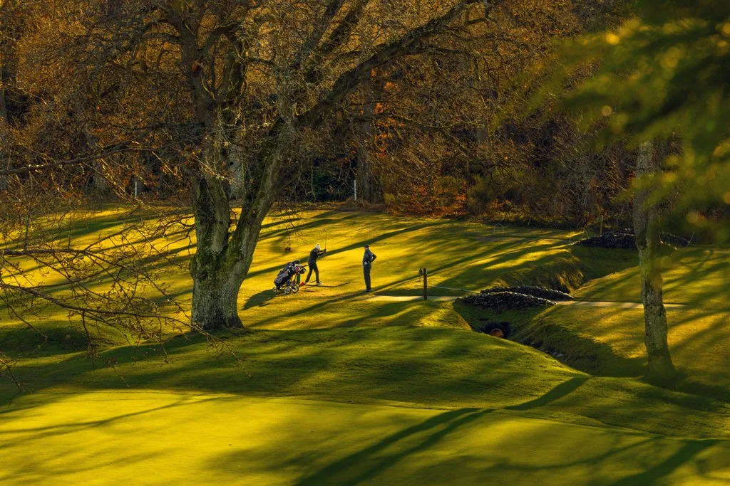 Raemoir Park, Banchory, photo 10