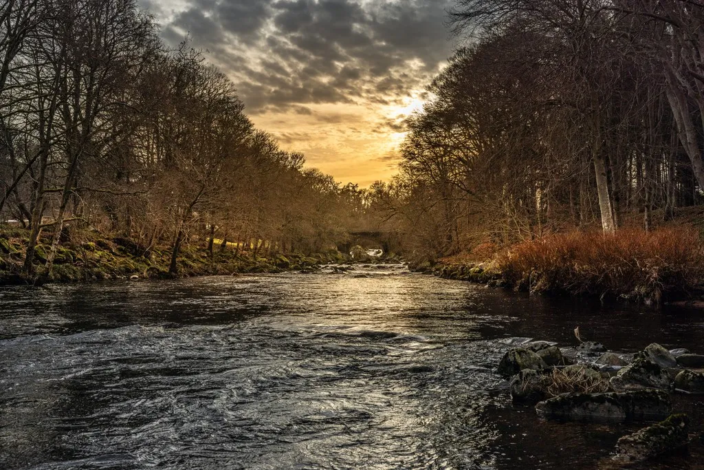 Raemoir Park, Banchory, photo 12