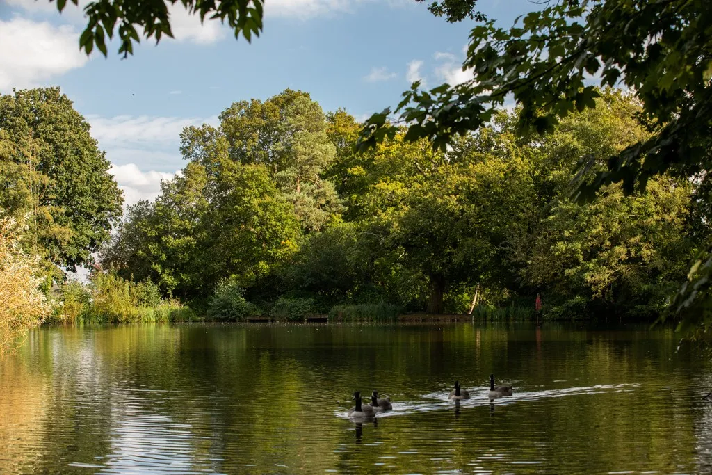 Sambrooke Park, photo 9