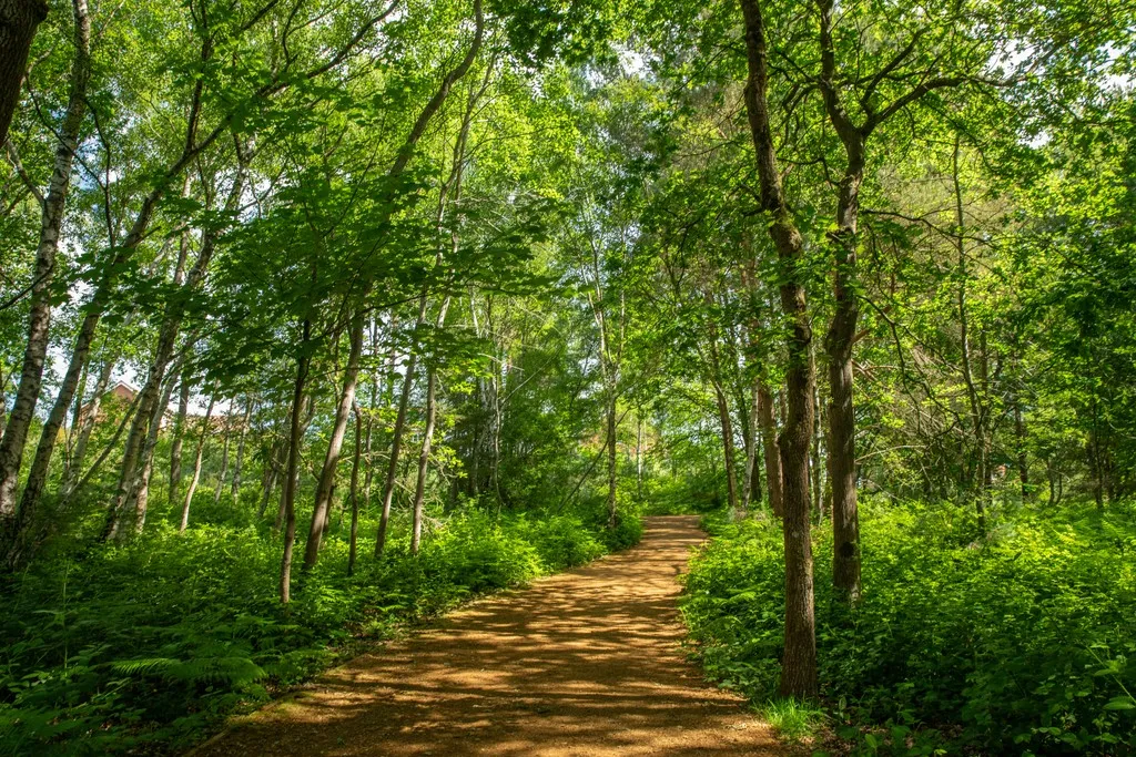 The Glades at Mindenhurst, photo 11