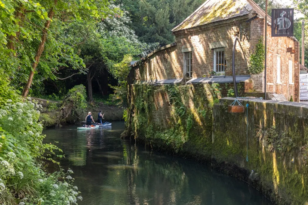The Willows, photo 7
