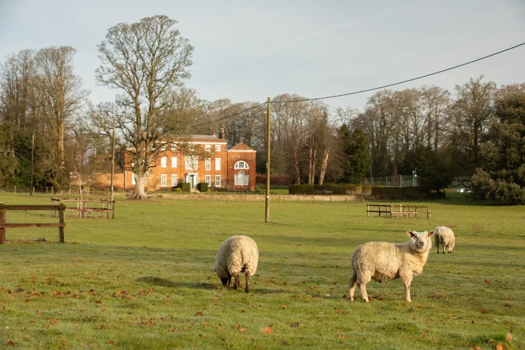 Worting Park, photo 8