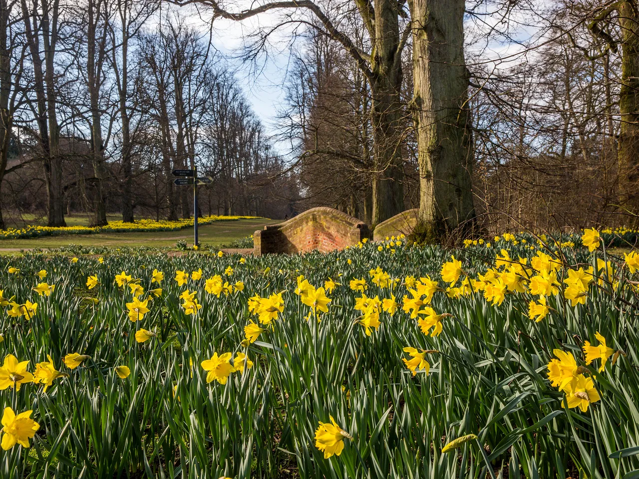 Charles Church @ Abbots Vale, photo 3