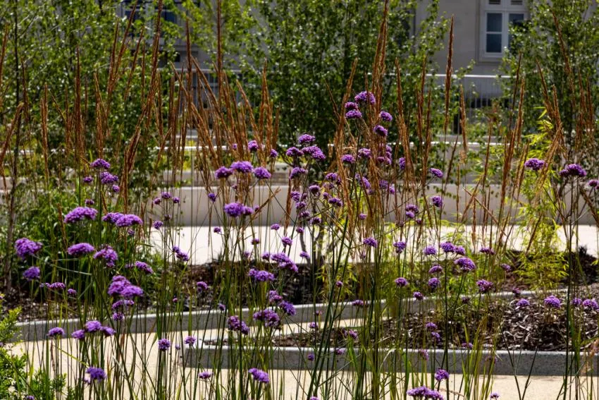 Hepworth Place, photo 5