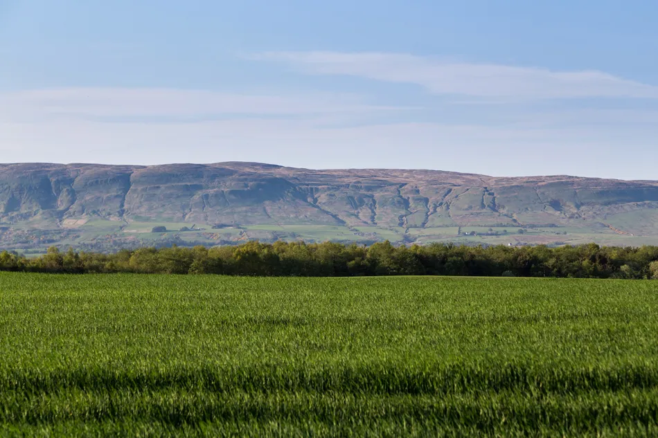 Auchinleck Village, photo 10