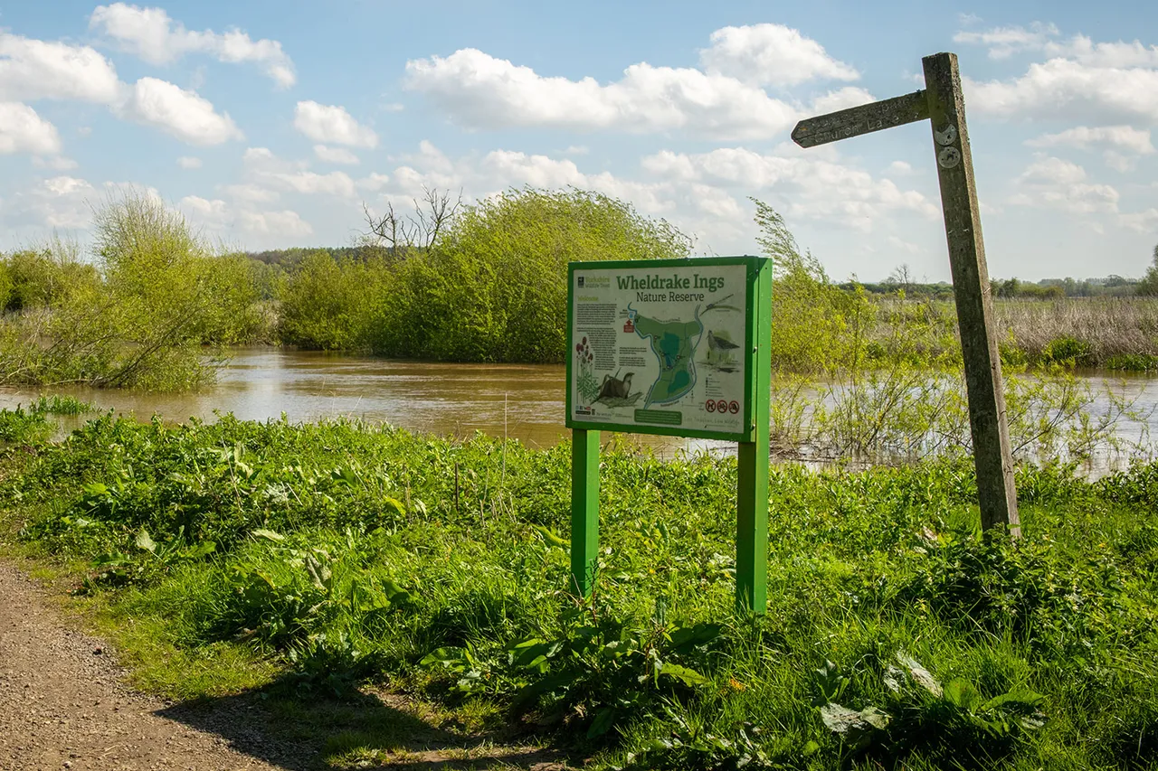Bramble Wood, photo 5