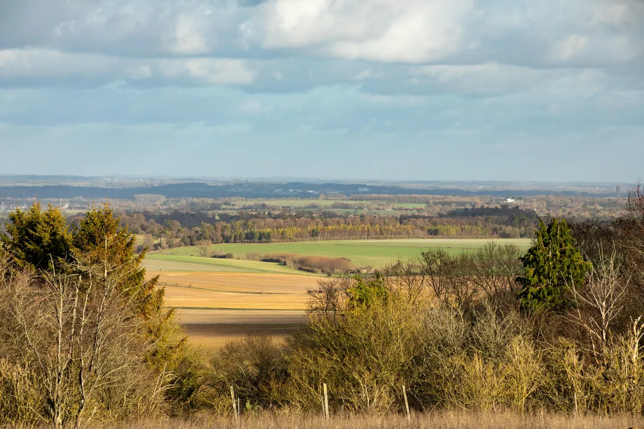 Brookside Meadows, photo 8