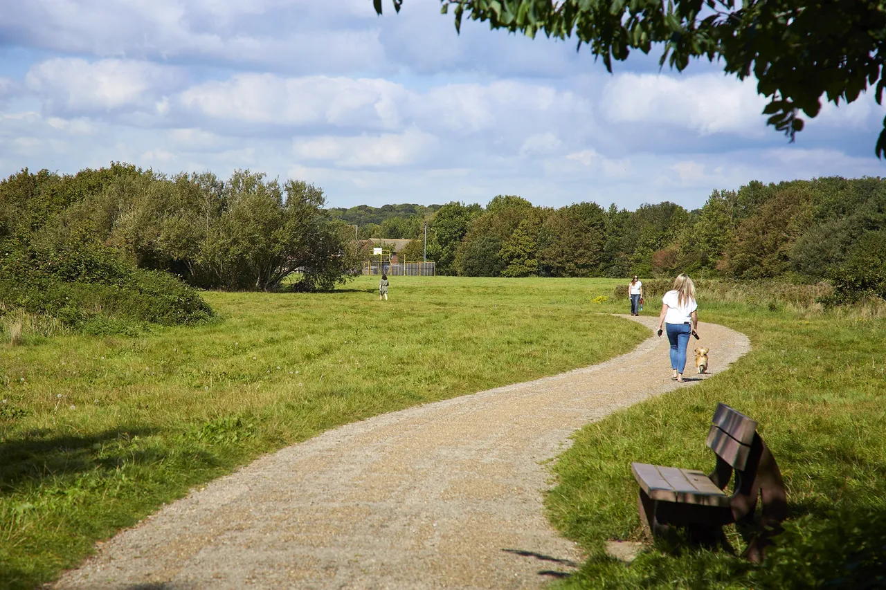 Brookwood Meadows, photo 8