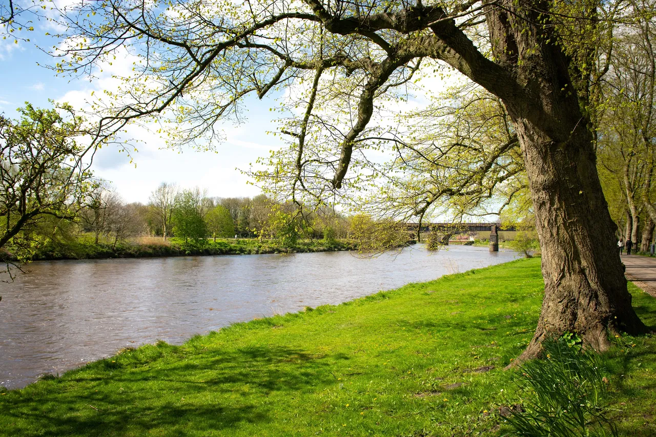 Calder Rise, photo 9