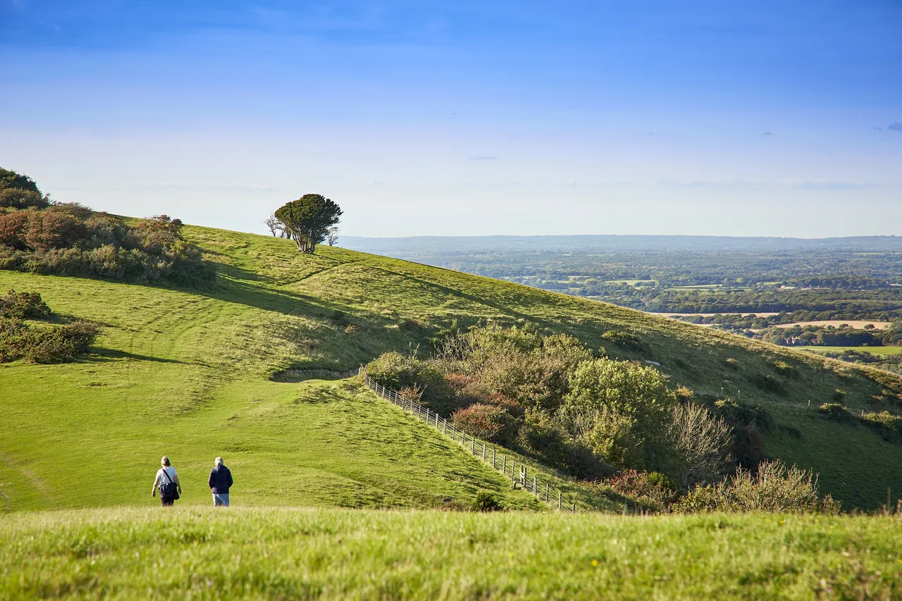Cuckoo Fields DWH, photo 8