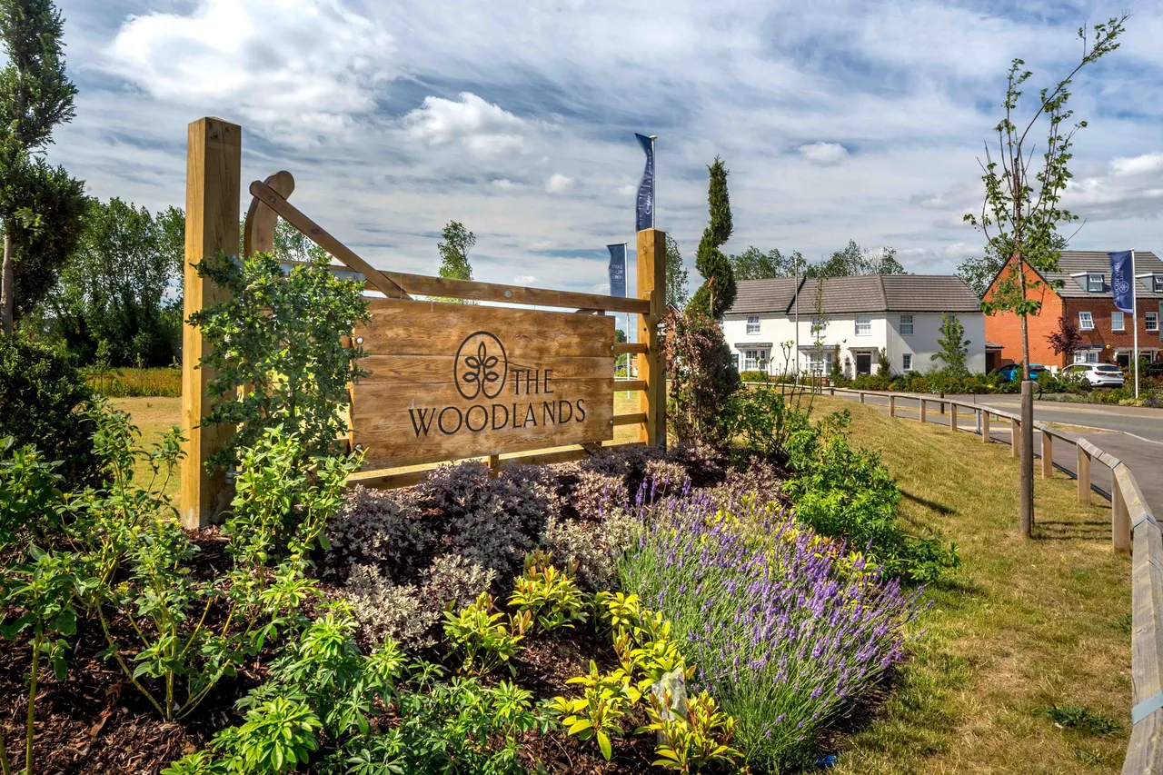 David Wilson Homes The Woodlands, photo 3