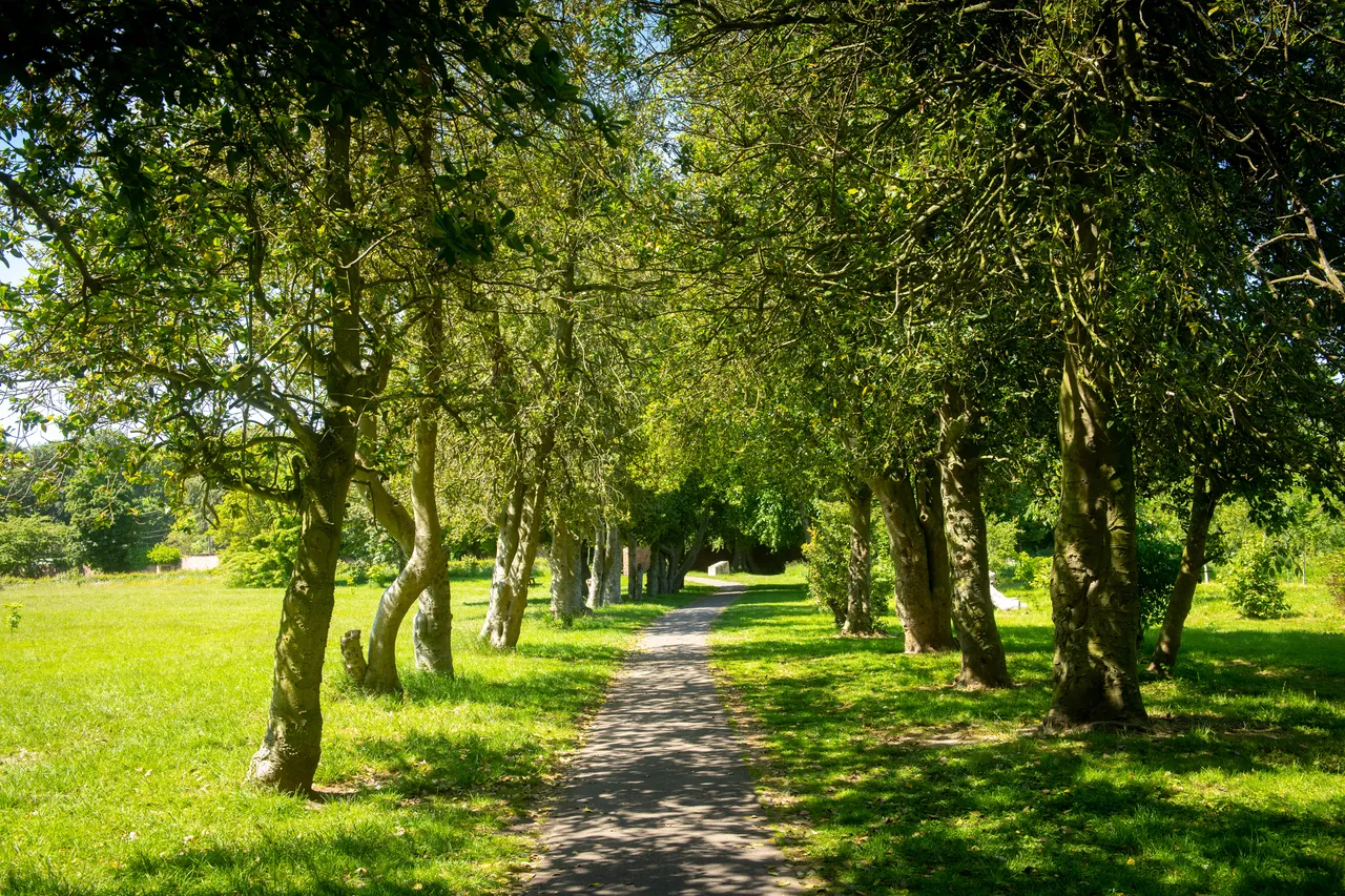 Doxford Green, photo 8