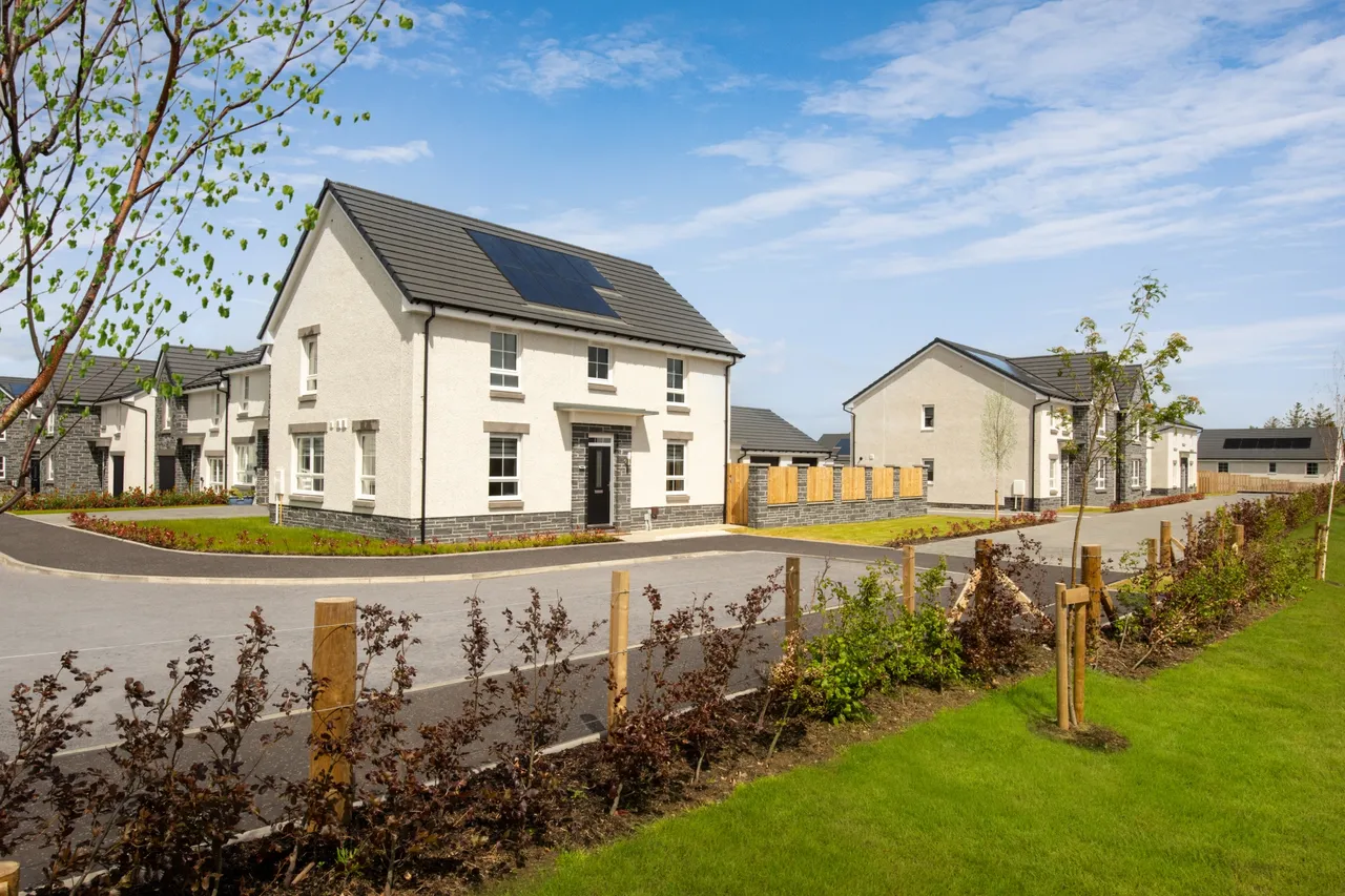 DWH @ Eaglesham View, photo 5