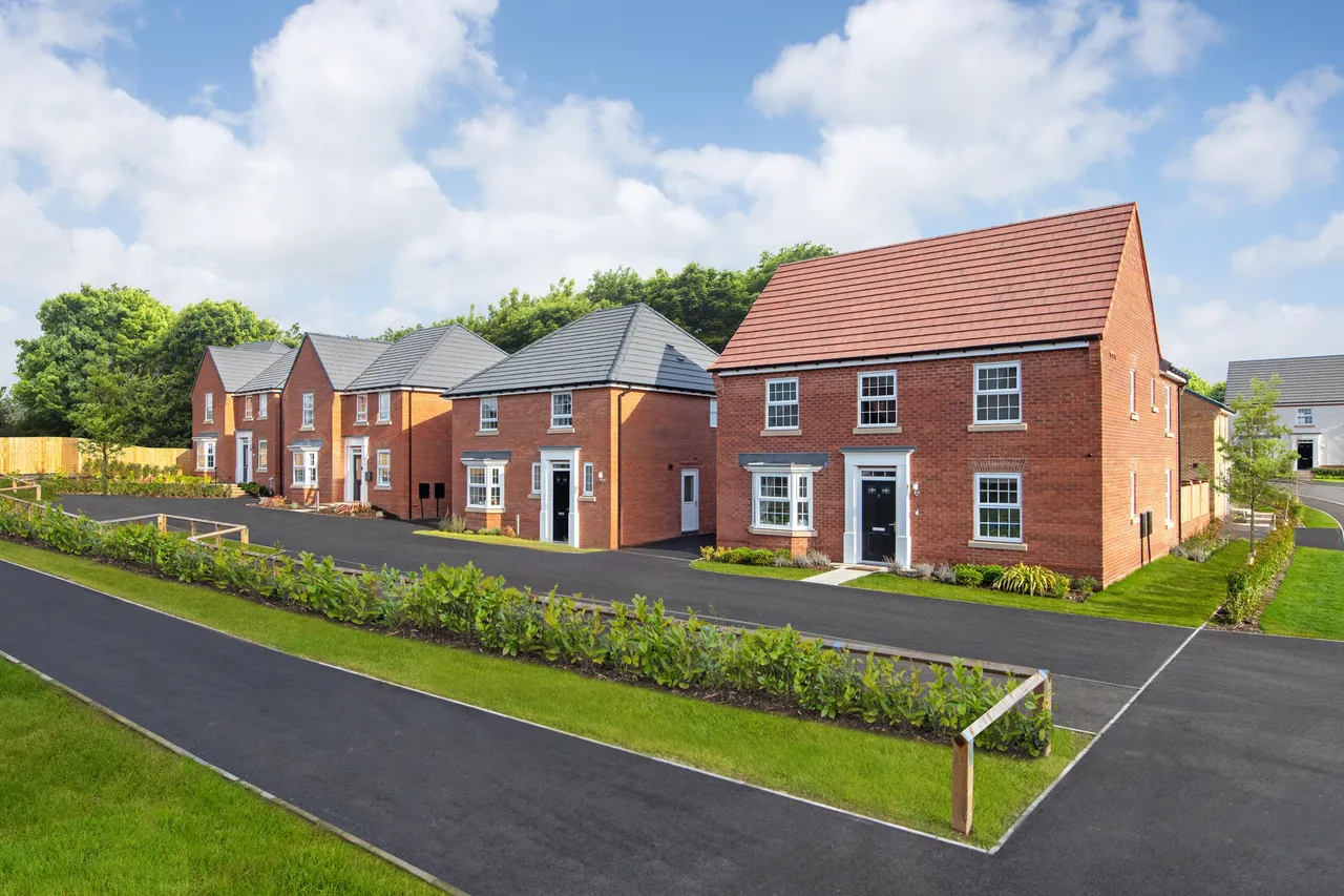 Elm Tree Park, Rainworth: new homes by David Wilson Homes