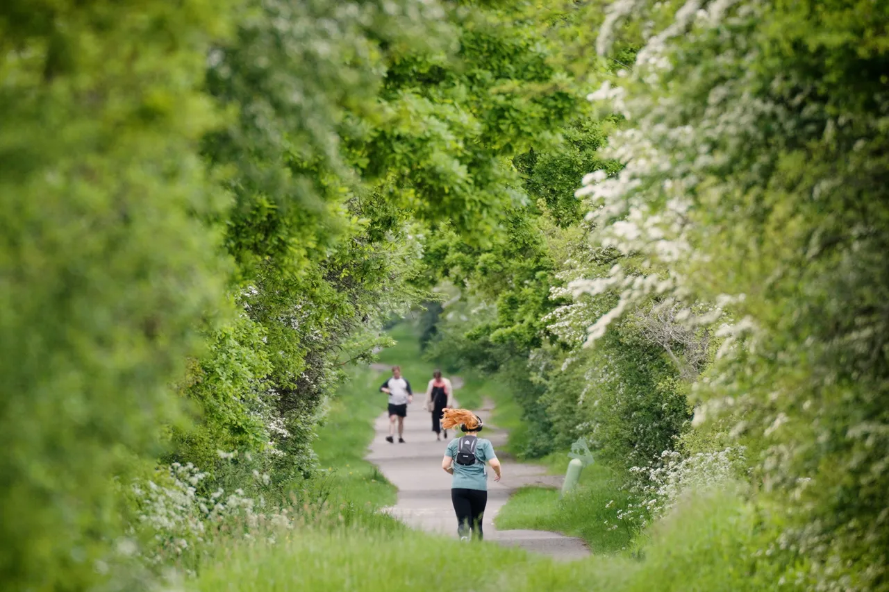 Ersham Park, photo 7