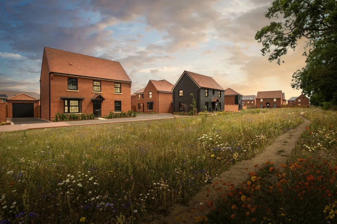 Henley Gate, Ipswich: new homes by David Wilson Homes