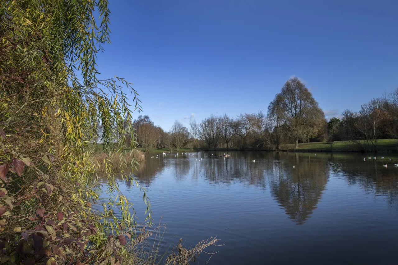 Ladden Garden Village, photo 8