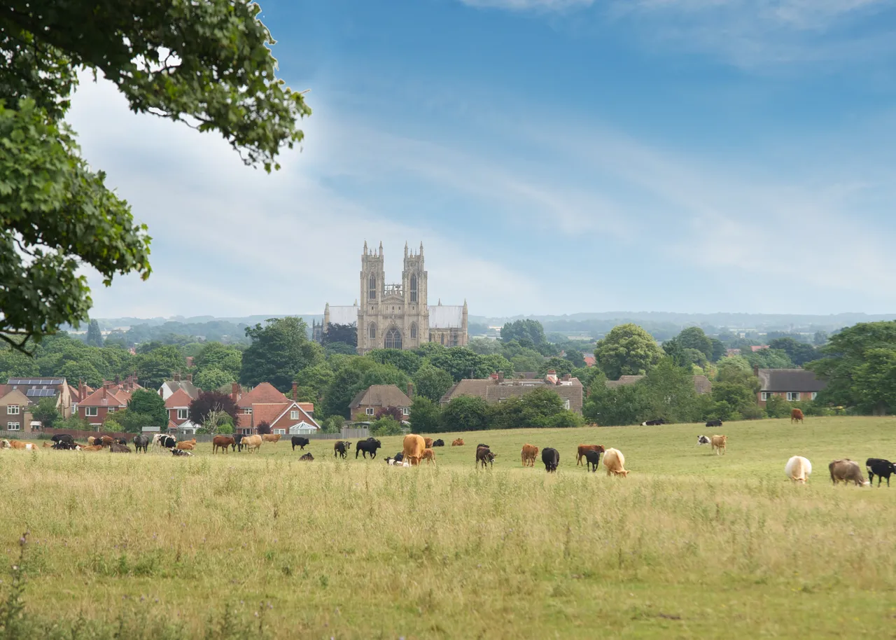 Minster View, photo 4