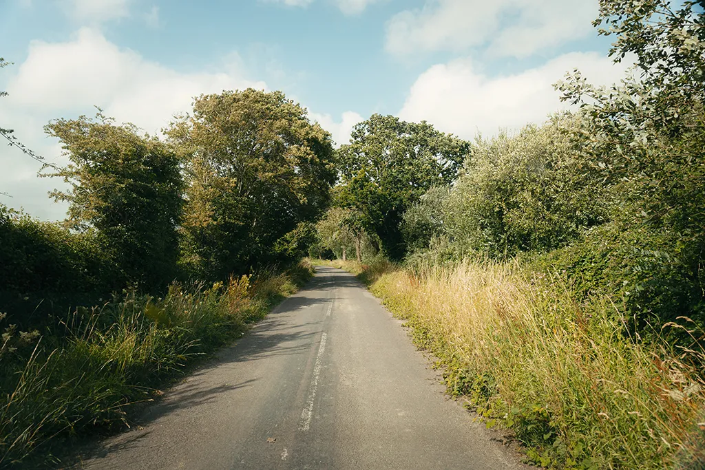 Nursery Fields, photo 10