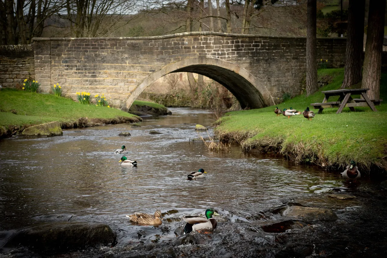 Oughtibridge Valley, Sheffield, photo 10
