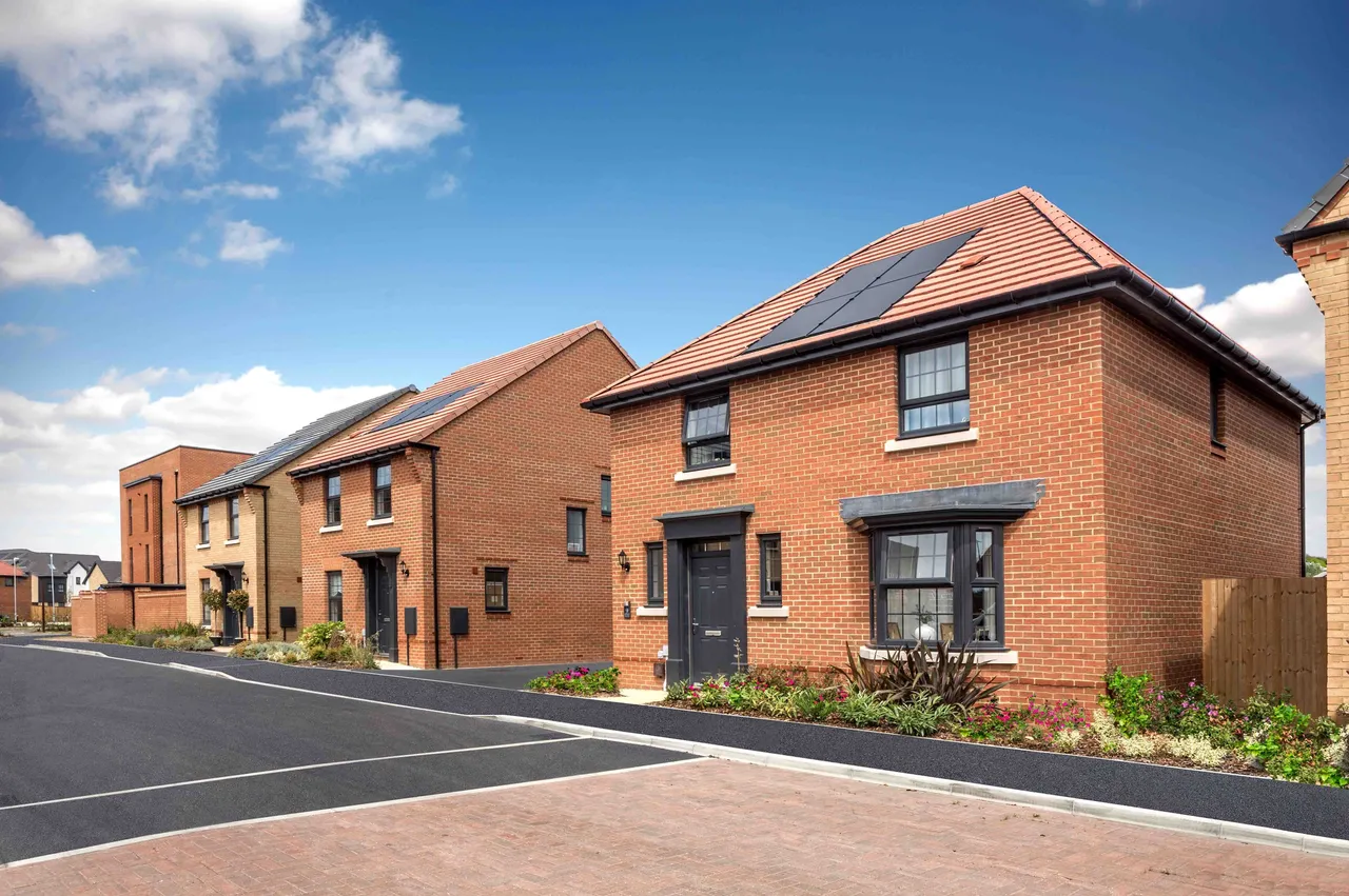 Spitfire Green, photo 5