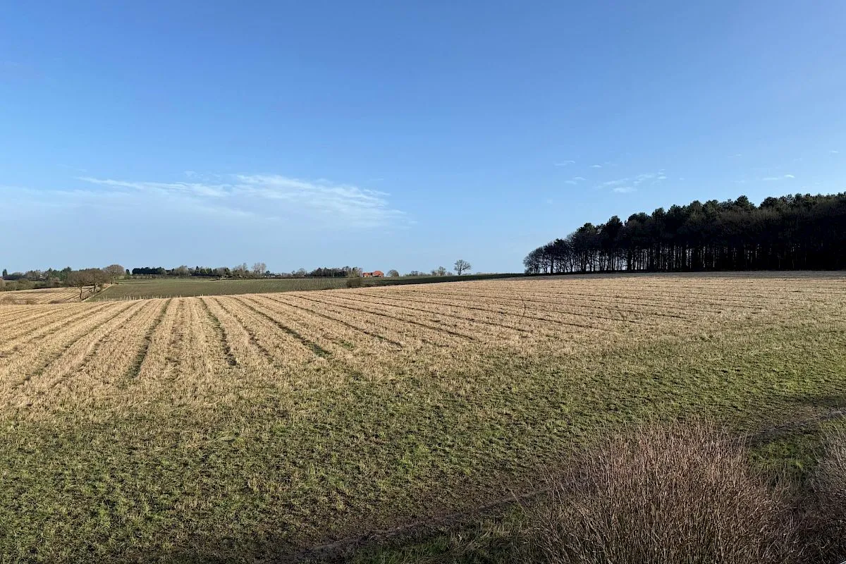Hollinwell Heath, photo 10