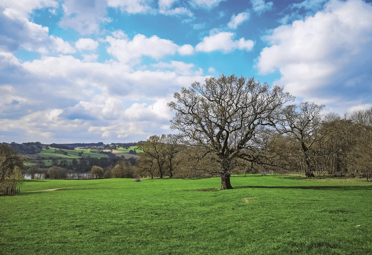 Wentworth View, photo 10