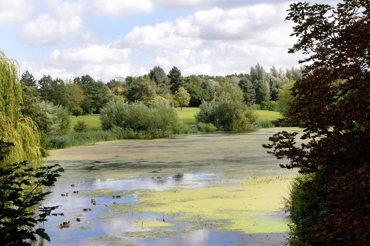 Collingtree Park, photo 10