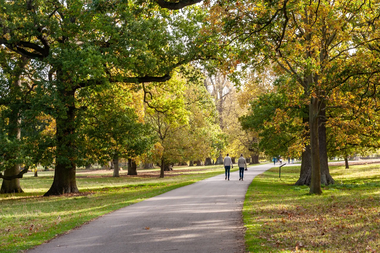 Stamford Gardens, photo 9