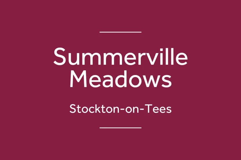 Summerville Meadows, photo 3