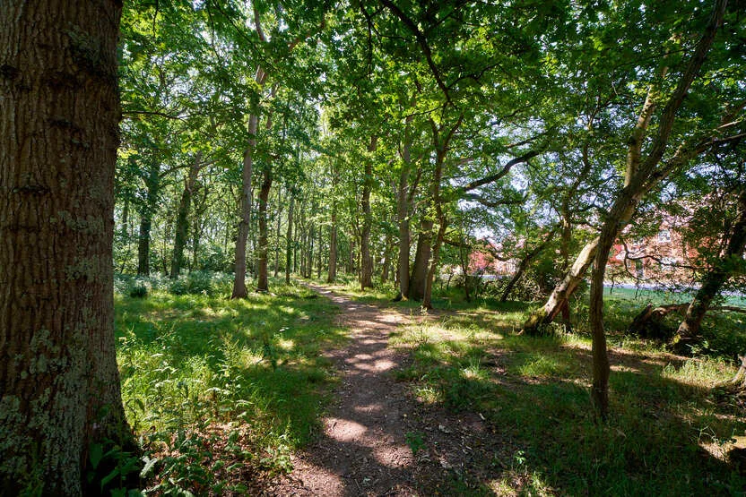 Whiteley Meadows, photo 6