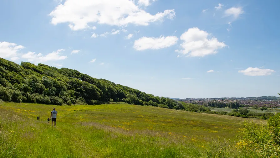 Bincombe Park, photo 4