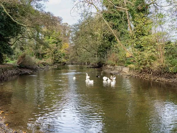 Constable Vale, photo 2