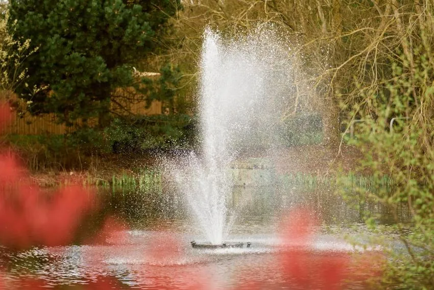 Sonnet Park, photo 7