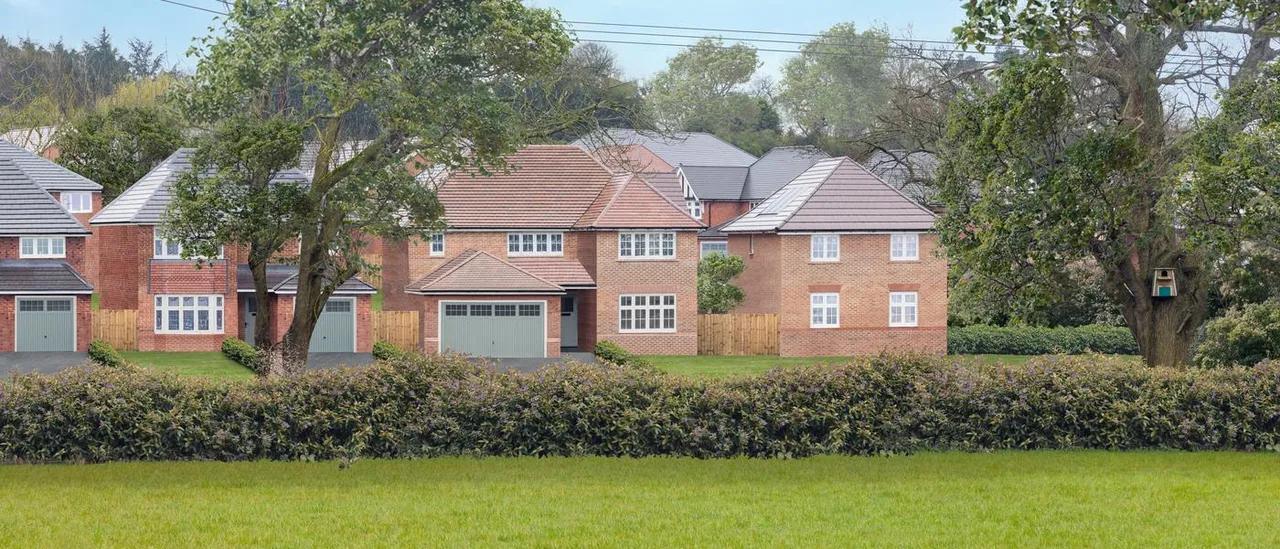 Silverbrook Meadow, Webheath, photo 3