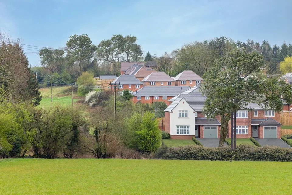 Silverbrook Meadow, Webheath, photo 11