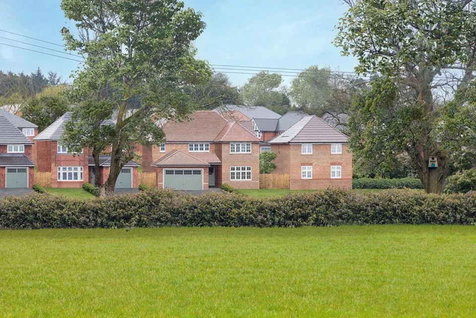 Silverbrook Meadow, Webheath, photo 13