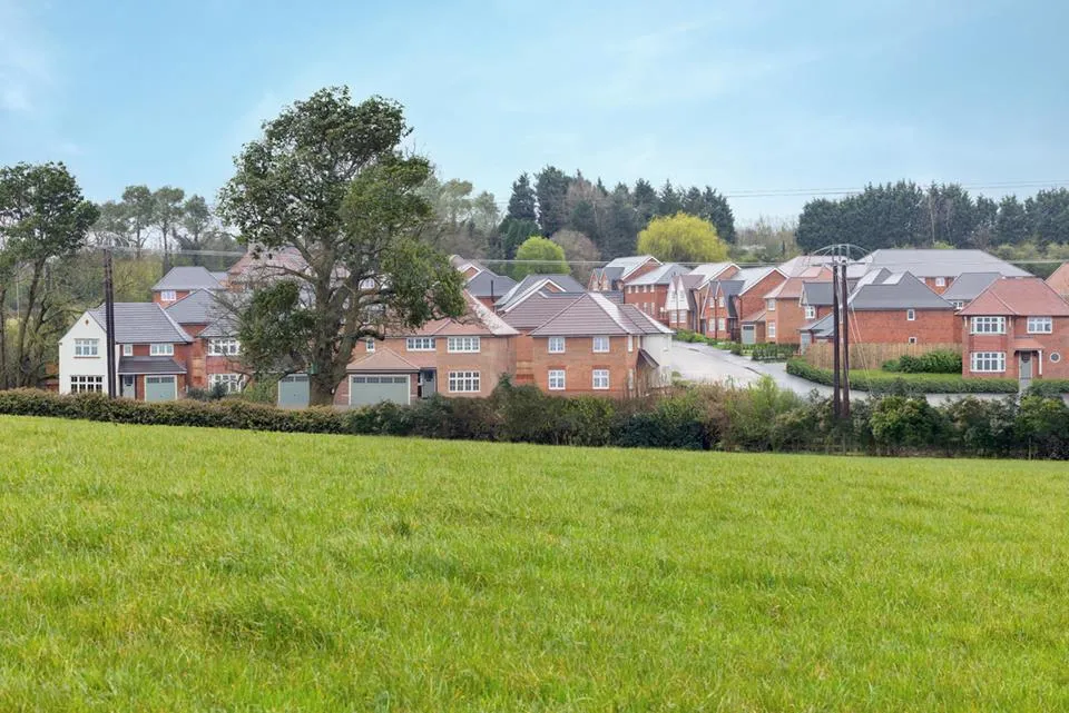 Silverbrook Meadow, Webheath, photo 10