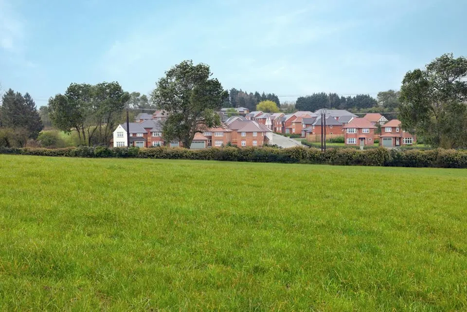 Silverbrook Meadow, Webheath, photo 12