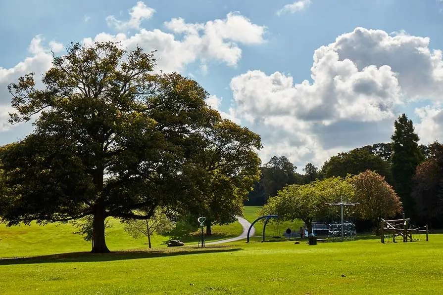 Anderton Green, photo 8