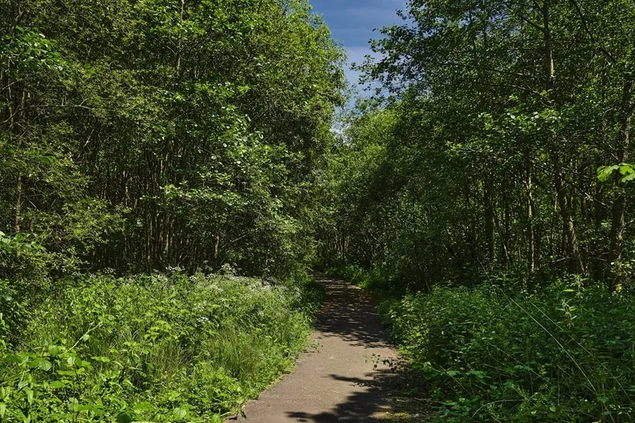 Cwrt Sirhowy, photo 5